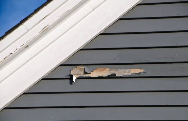 Best Siding for Commercial Buildings  in Palermo, CA